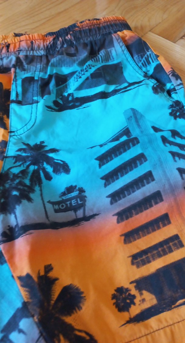 Erkek Çok Renkli Baskılı Mayo Şort - Görsel 3