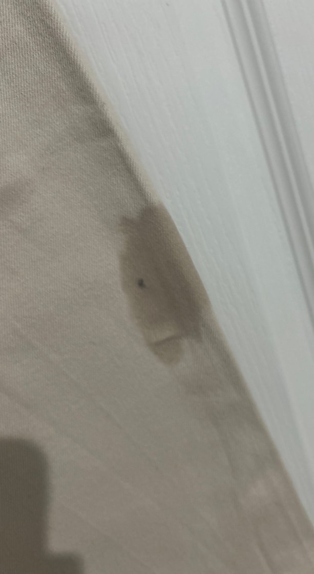 Bej Kadın Keten Pantolon - Görsel 4