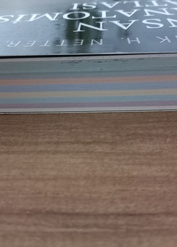 İnsan Anatomisi Atlası - Frank H. Netter - Görsel 3