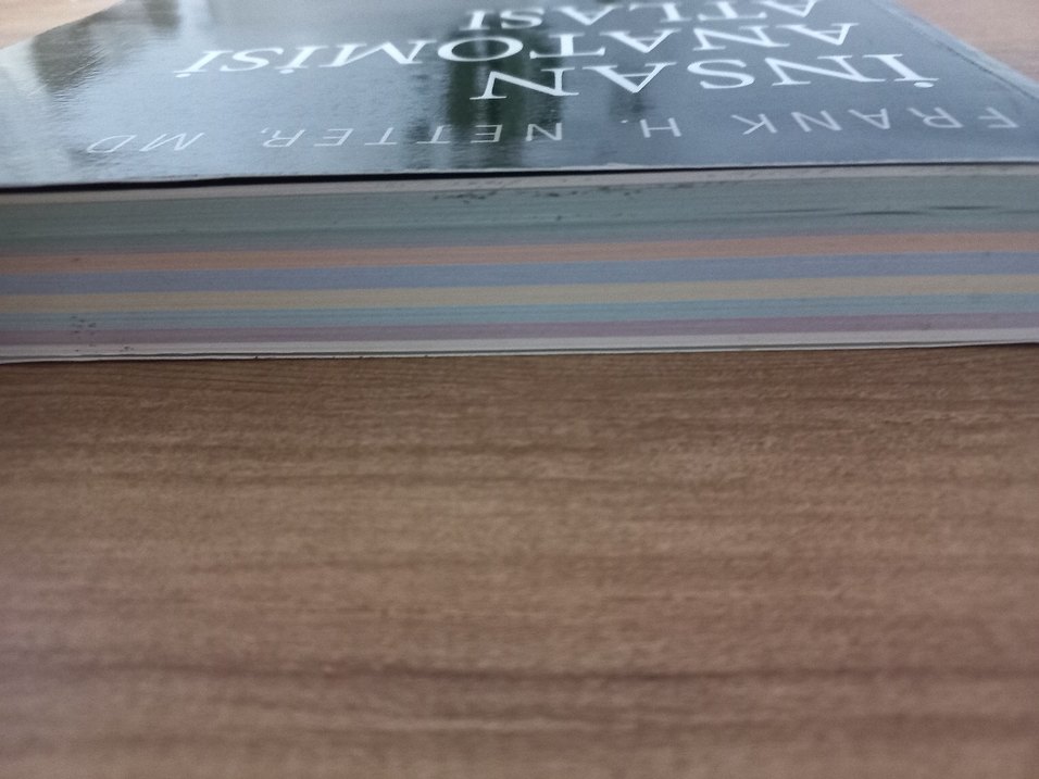 İnsan Anatomisi Atlası - Frank H. Netter - Görsel 3