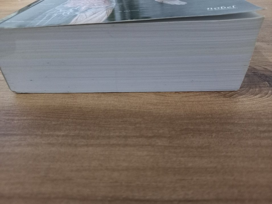 Resimli Sistematik Anatomi - Prof. Dr. Mehmet Yıldırım - Görsel 4