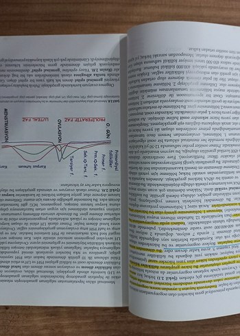 Embriyoloji Kitabı Prof. Dr. Mukaddes Esrefoğlu - Görsel 3