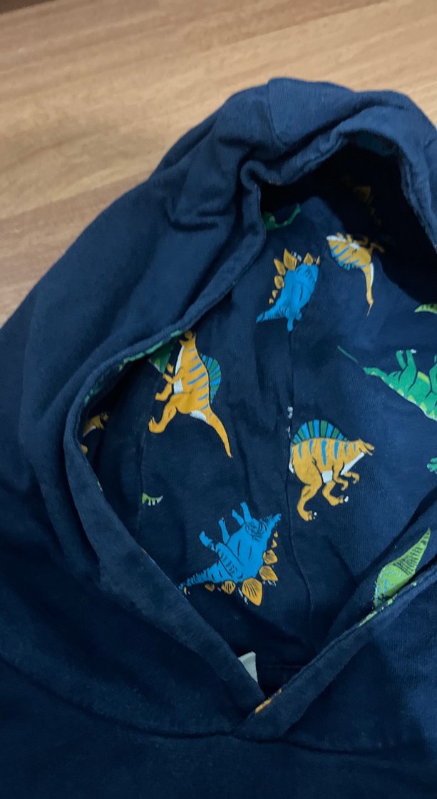 Kapüşonlu Dinozor Baskılı Erkek Sweatshirt - Görsel 2