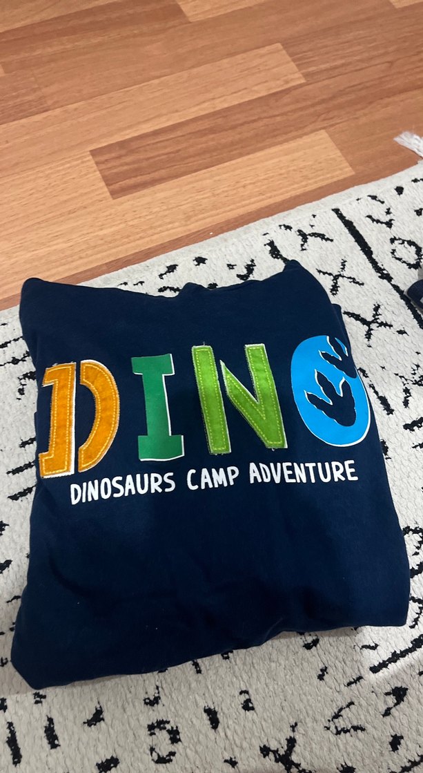 Kapüşonlu Dinozor Baskılı Erkek Sweatshirt - Görsel 4