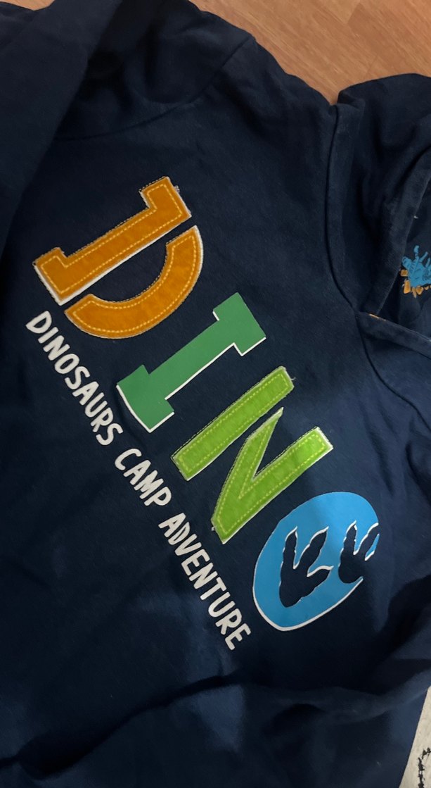 Kapüşonlu Dinozor Baskılı Erkek Sweatshirt - Görsel 3