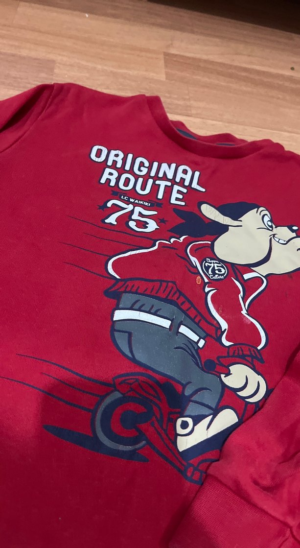 Erkek Çocuk Kırmızı Baskılı Sweatshirt - Görsel 2