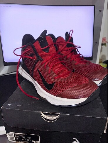Lebron Wıtness IV