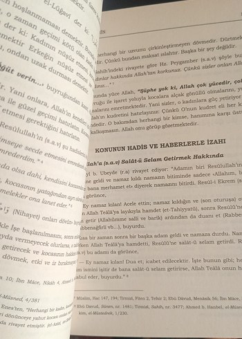 Dürretü'l Vaizin - Osman Hopavi - Görsel 2