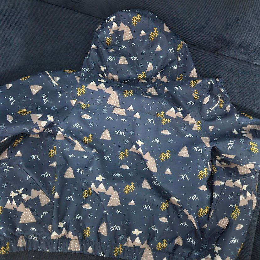 Mavi Desenli Erkek Çocuk Kapüşonlu Mont - Görsel 2