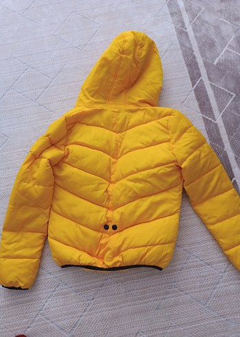 l Beden sarı Renk Sarı Kapüşonlu Fermuarlı Kadın Mont