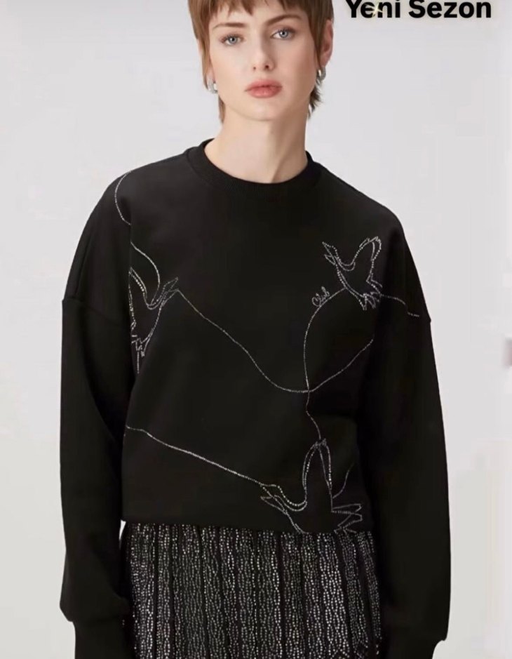 Nakışlı Siyah Kadın Sweatshirt - Görsel 4