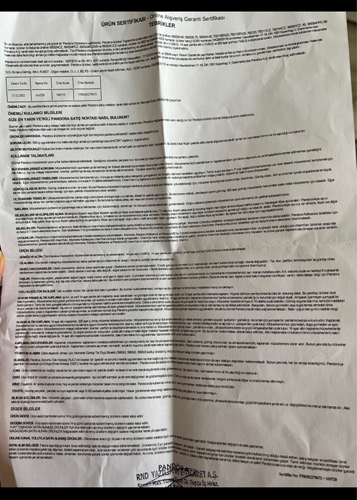 Pandora kalp klipsli gümüş bileklik 17 cm - Görsel 5