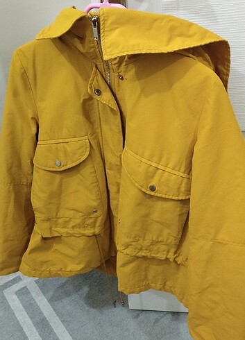 Mont Mango