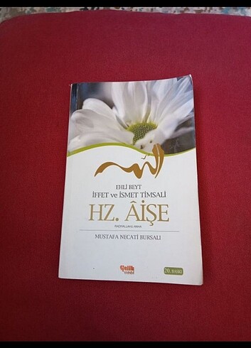 Hz. Aise kitabı