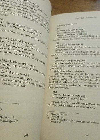 Beden Renk Şem'i Şerh-i Mantıku't-Tayr Kitabı