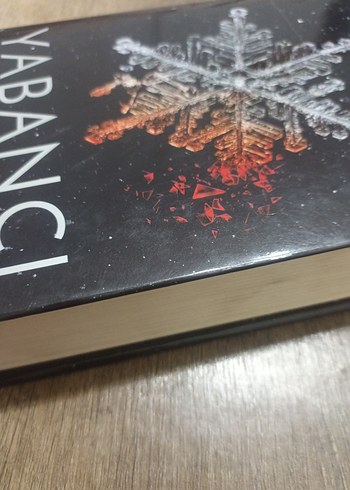 Yabancı Şahmeran - Öznur Yıldırım - Görsel 4