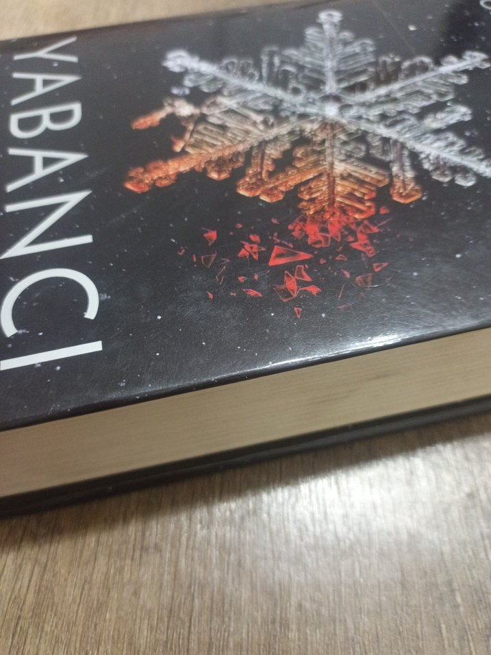 Yabancı Şahmeran - Öznur Yıldırım - Görsel 4