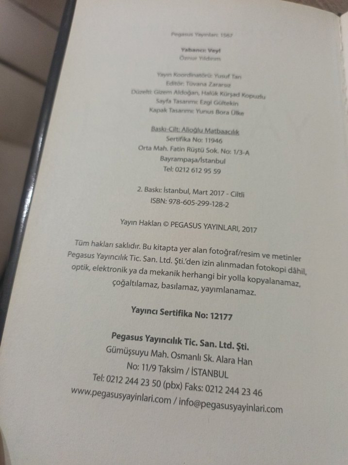 Yaancı Veyl - Öznur Yıldırım - Görsel 3