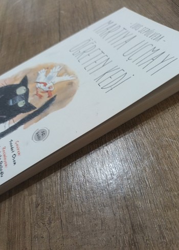 Martıya Uçmayı Öğreten Kedi - Luis Sepúlveda - Görsel 5