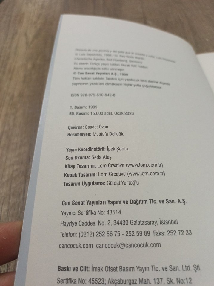 Martıya Uçmayı Öğreten Kedi - Luis Sepúlveda - Görsel 3