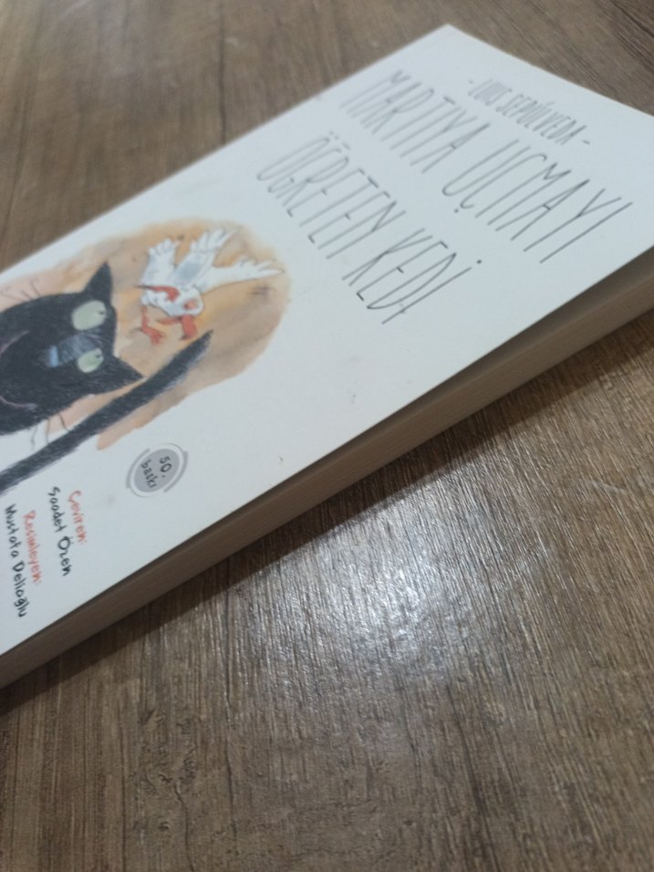 Martıya Uçmayı Öğreten Kedi - Luis Sepúlveda - Görsel 5