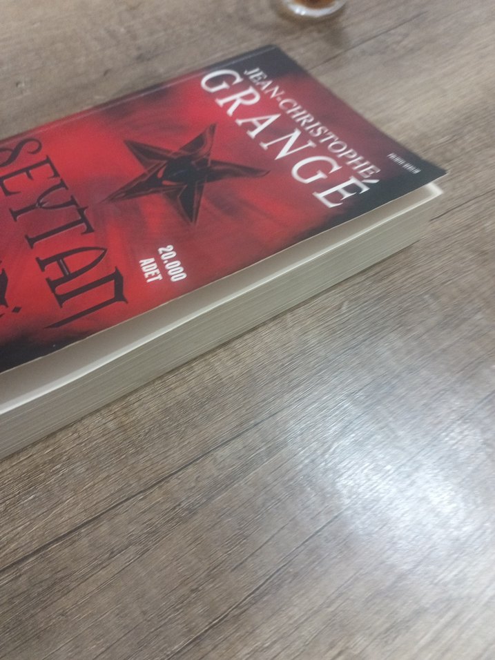 Şeytan Yemini - Jean-Christophe Grangé - Görsel 4