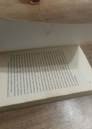 Kanatsız Kuşlar - Anne Lamott - Görsel 5