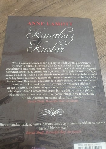 Kanatsız Kuşlar - Anne Lamott - Görsel 2