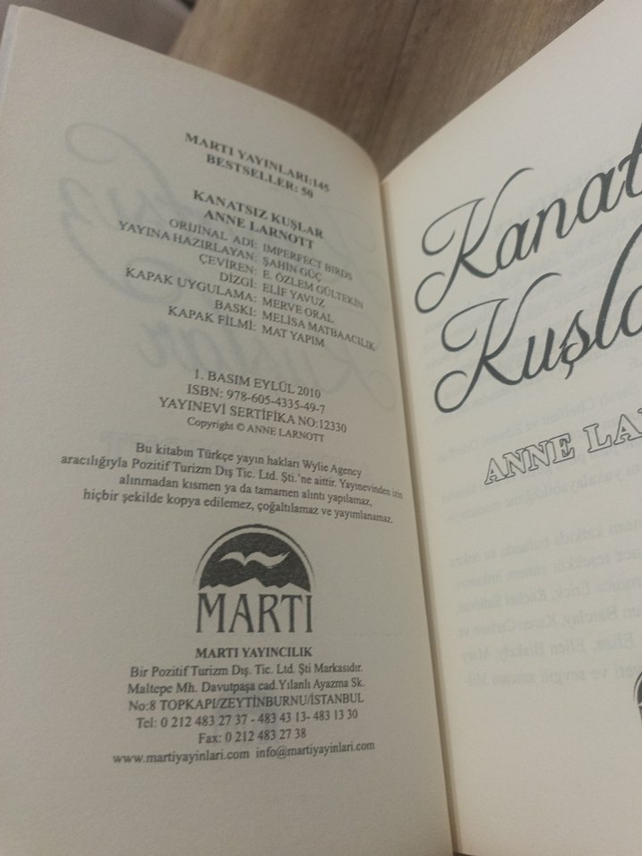 Kanatsız Kuşlar - Anne Lamott - Görsel 3