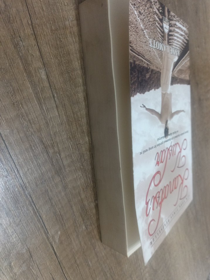 Kanatsız Kuşlar - Anne Lamott - Görsel 4