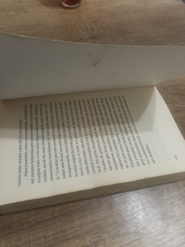 Kanatsız Kuşlar - Anne Lamott - Görsel 5