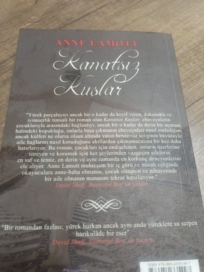 Kanatsız Kuşlar - Anne Lamott - Görsel 2
