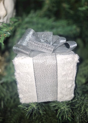 Beyaz Peluş Gümüş Kurdeleli Hediye paketi - Görsel 10