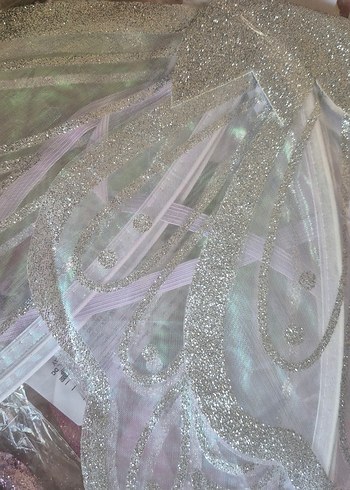 peri kanat  ,kelebek kanat - Görsel 5