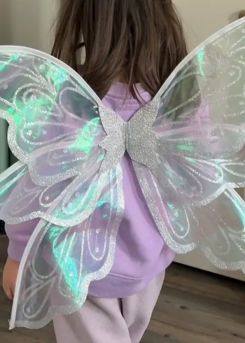 peri kanat  ,kelebek kanat - Görsel 6