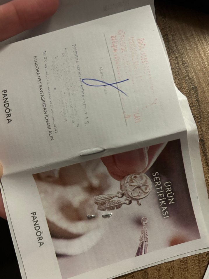 Pandora Gri Zincir Detaylı Kadın Bileklik - Görsel 5