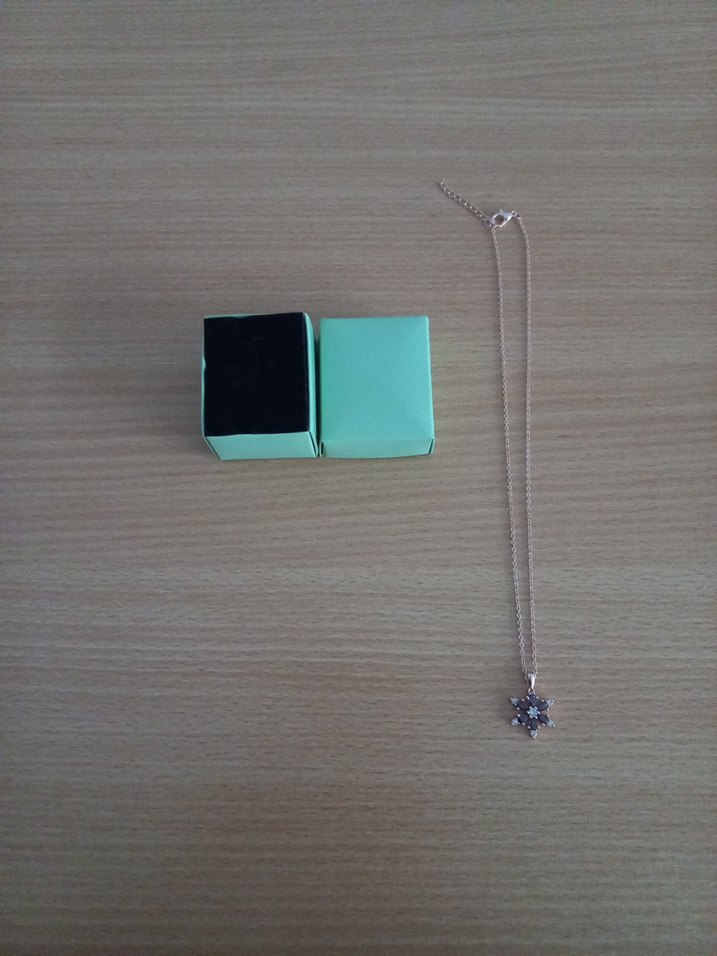 Lotus Kamelya Çiçeği Kolye - Görsel 5