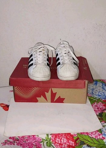 Adidas Adidas süperstar 37 numara