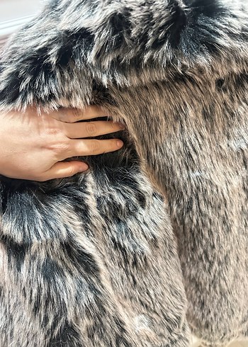 Gri kürk - Görsel 4