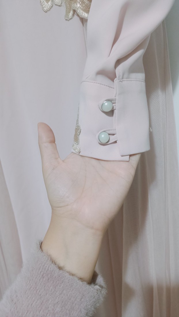 Uzun pudra Nakışlı Kadın Abiye Elbise - Görsel 4