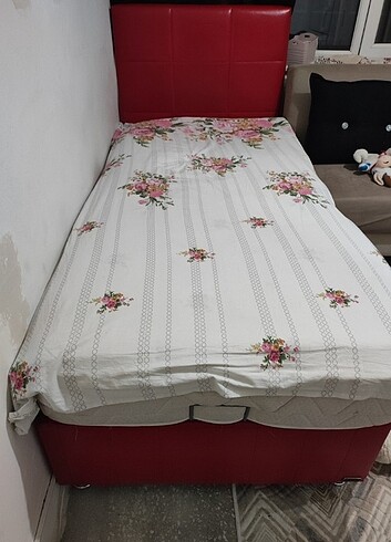 Diğer Baza başlık 