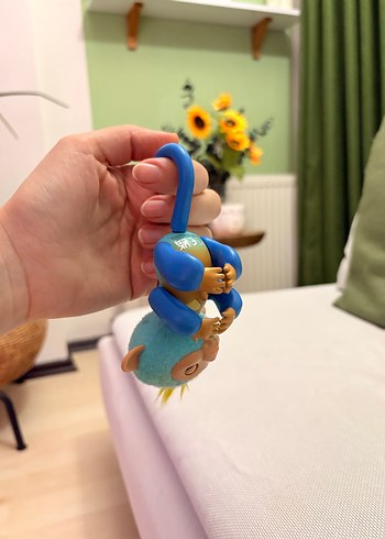 Finger monkey - Görsel 5