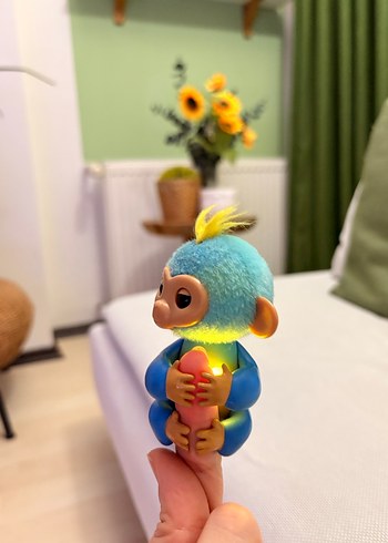 Finger monkey - Görsel 2