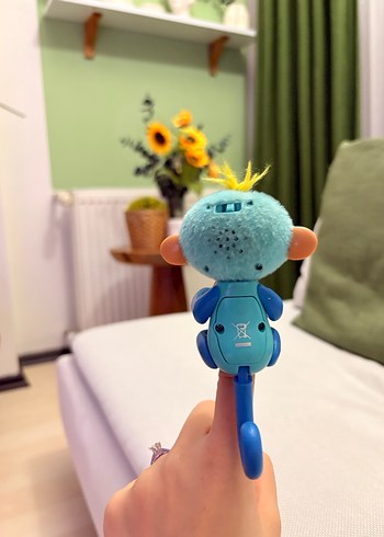 Finger monkey - Görsel 4