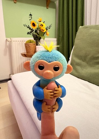 Finger monkey - Görsel 3