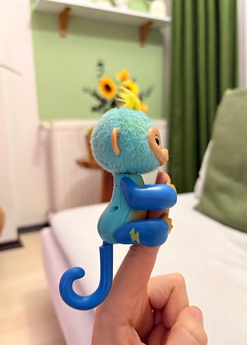 Finger monkey - Görsel 6