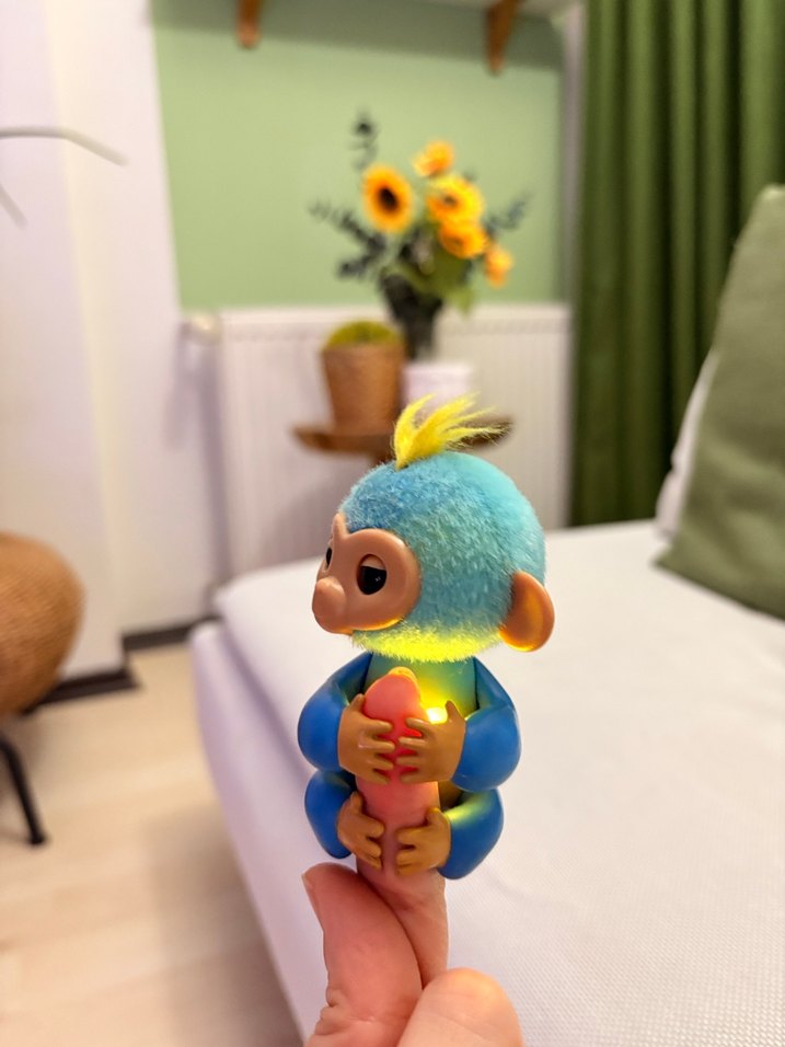 Finger monkey - Görsel 2