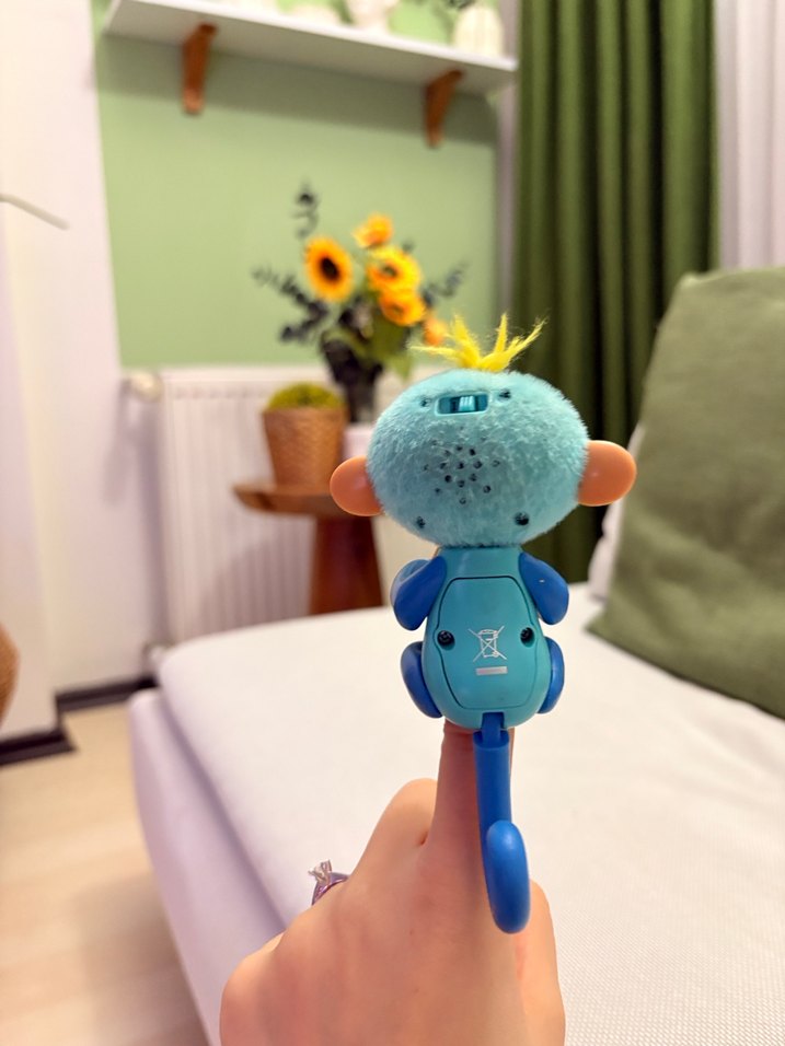 Finger monkey - Görsel 4