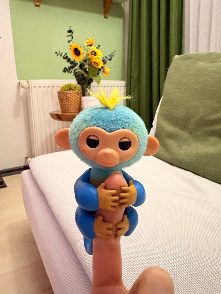 Finger monkey - Görsel 3