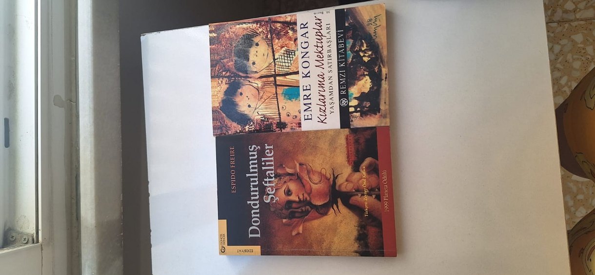 Emre Kongar ve Estido Freire Kitapları - Görsel 4